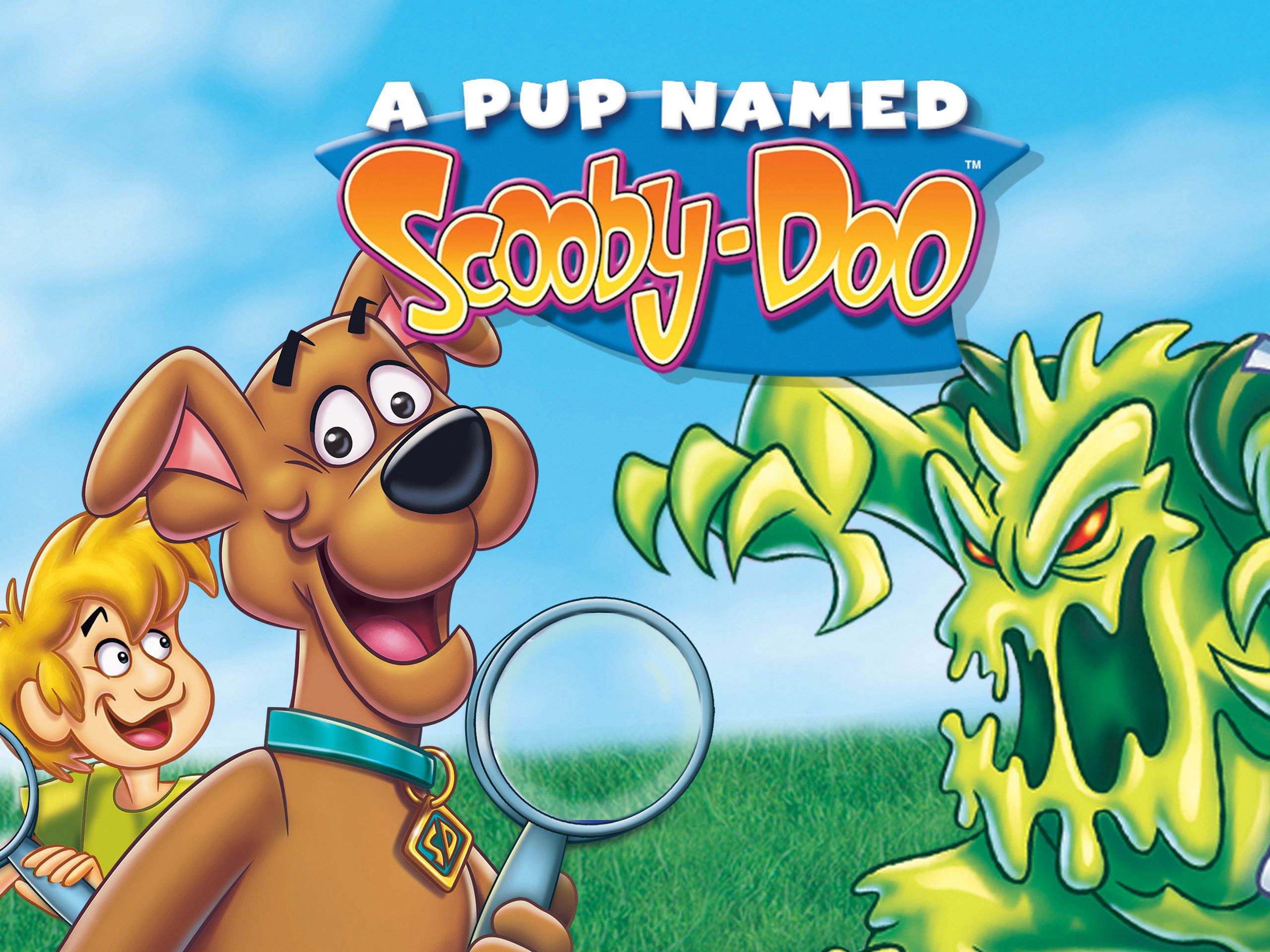 Banner Phim A Pup Named Scooby-Doo (Phần 3) (A Pup Named Scooby-Doo (Season 3))