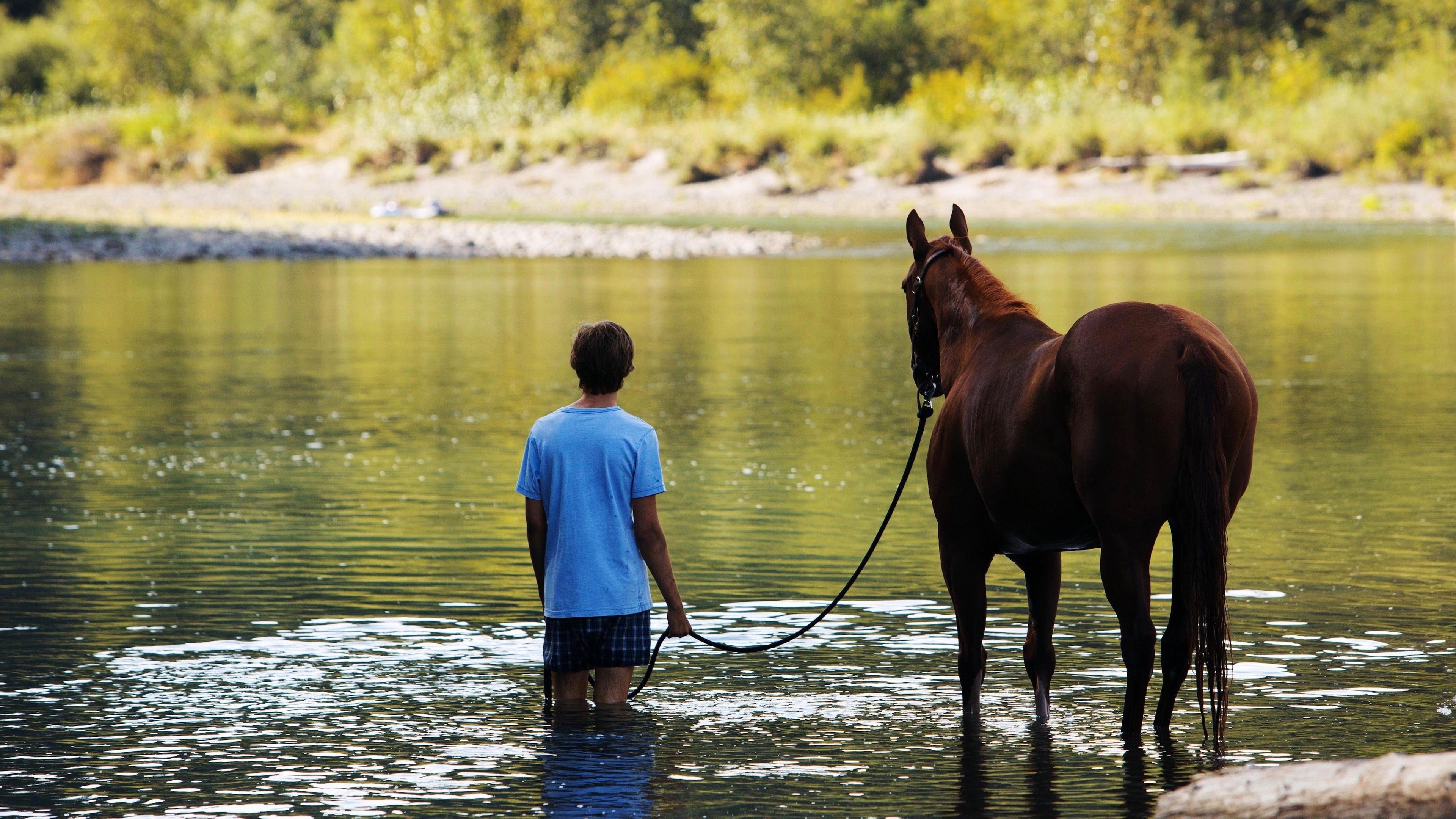 Banner Phim Chú Ngựa Già (Lean on Pete)