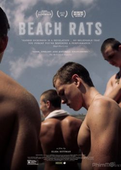 Banner Phim Chuột Bãi Biển (Beach Rats)