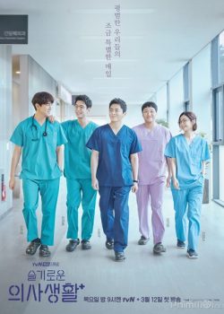 Banner Phim Chuyện Đời Bác Sĩ (Hospital Playlist)