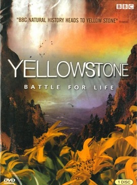 Banner Phim Cuộc Chiến Sinh Tồn (Yellowstone: Battle for Life)