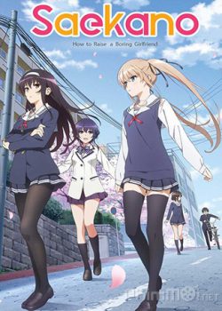 Banner Phim Đào Tạo Bạn Gái Phần 1 (Saekano: How to Raise a Boring Girlfriend)