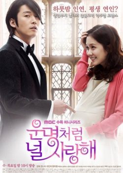 Banner Phim Định Mệnh Anh Yêu Em (Fated to Love You)