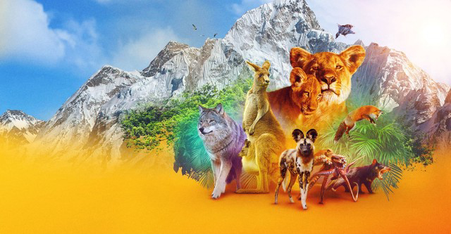 Banner Phim Động Vật Phần 1 (Animal Season 1)