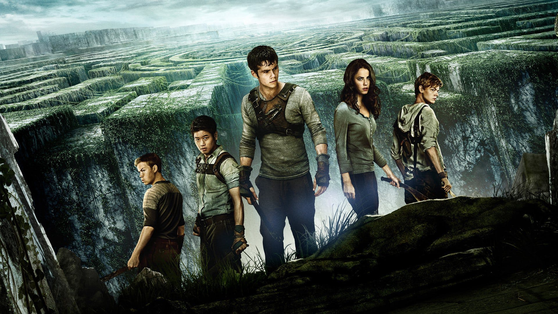 Banner Phim Giải Mã Mê Cung (The Maze Runner)