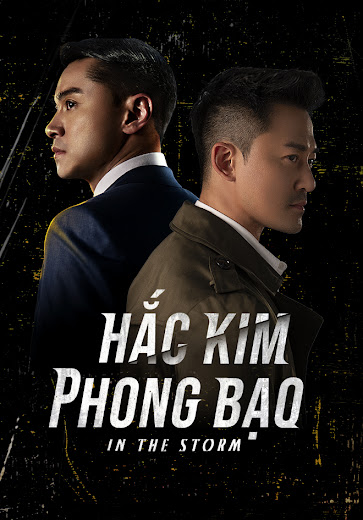 Banner Phim Hắc Kim Phong Bạo (In The Storm)