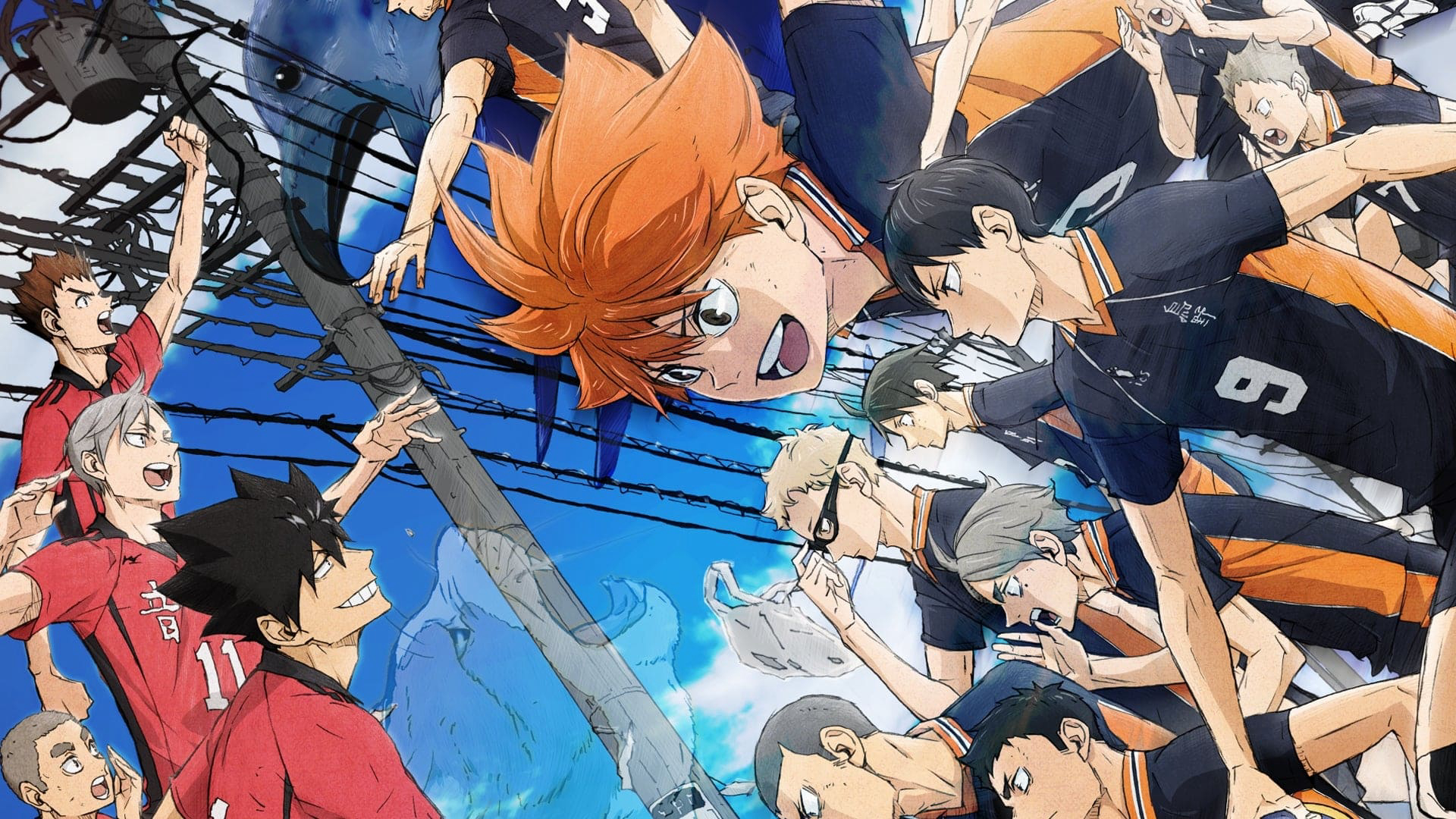 Banner Phim Haikyu!!: Trận Chiến Bãi Phế Liệu (HAIKYU!! The Dumpster Battle)