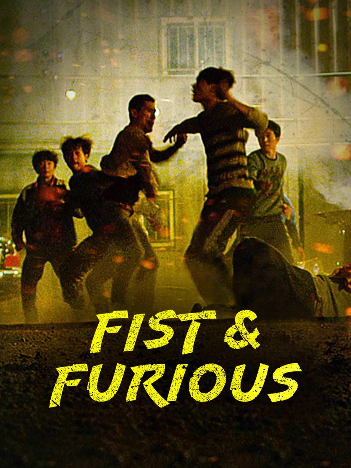 Banner Phim Hồ Sơ Bạo Lực (Fist and Furious)