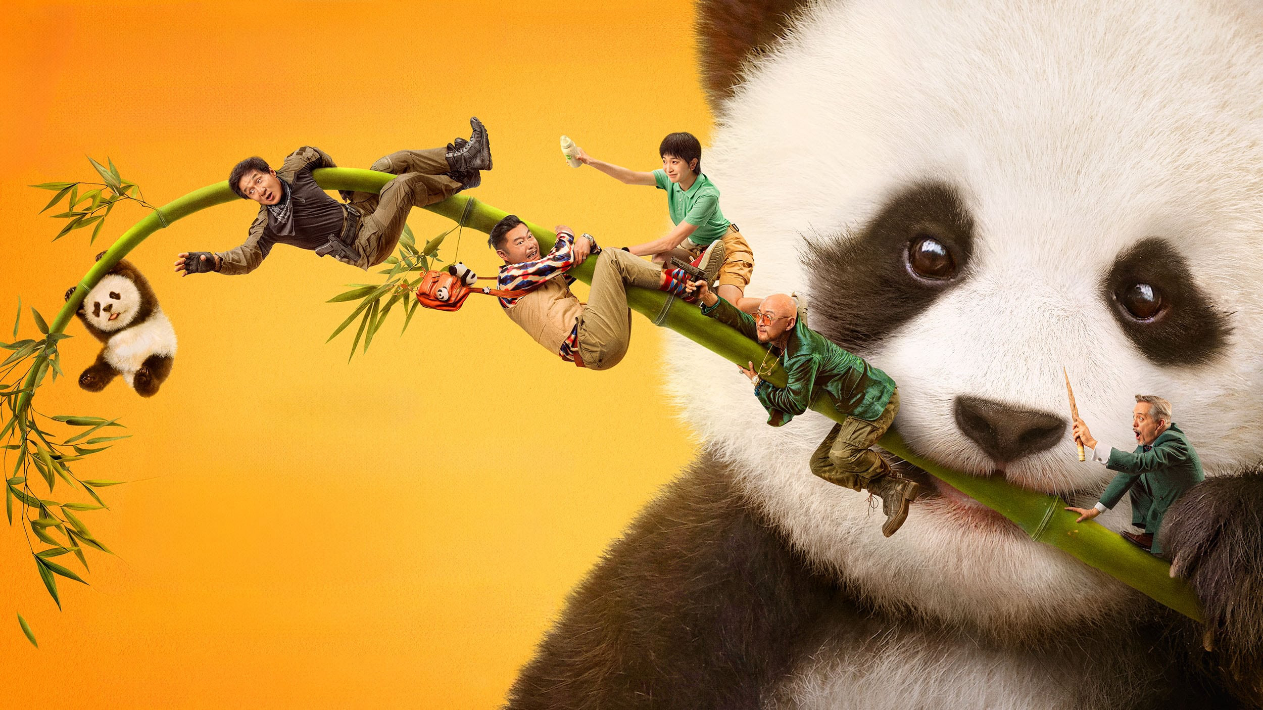 Banner Phim Kế Hoạch Gấu Trúc (Panda Plan)