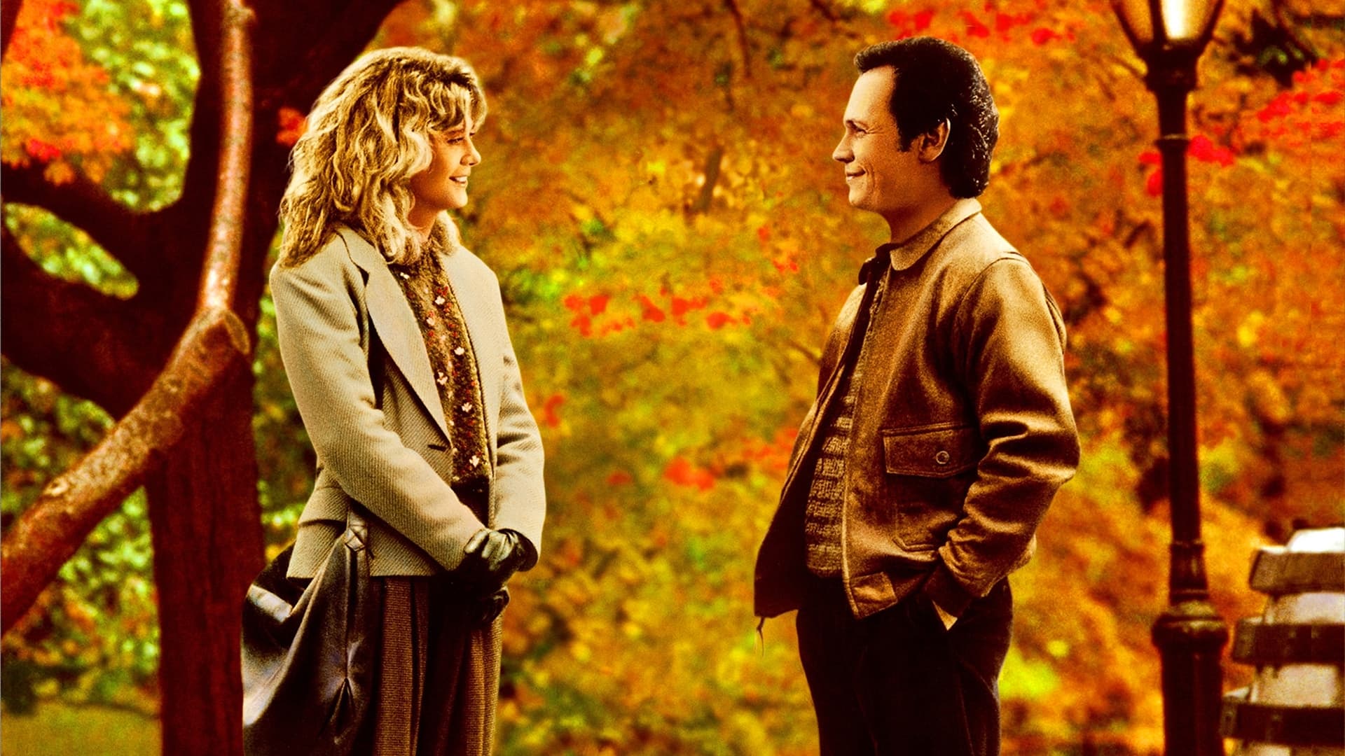 Banner Phim Khi Harry Gặp Sally (When Harry Met Sally...)