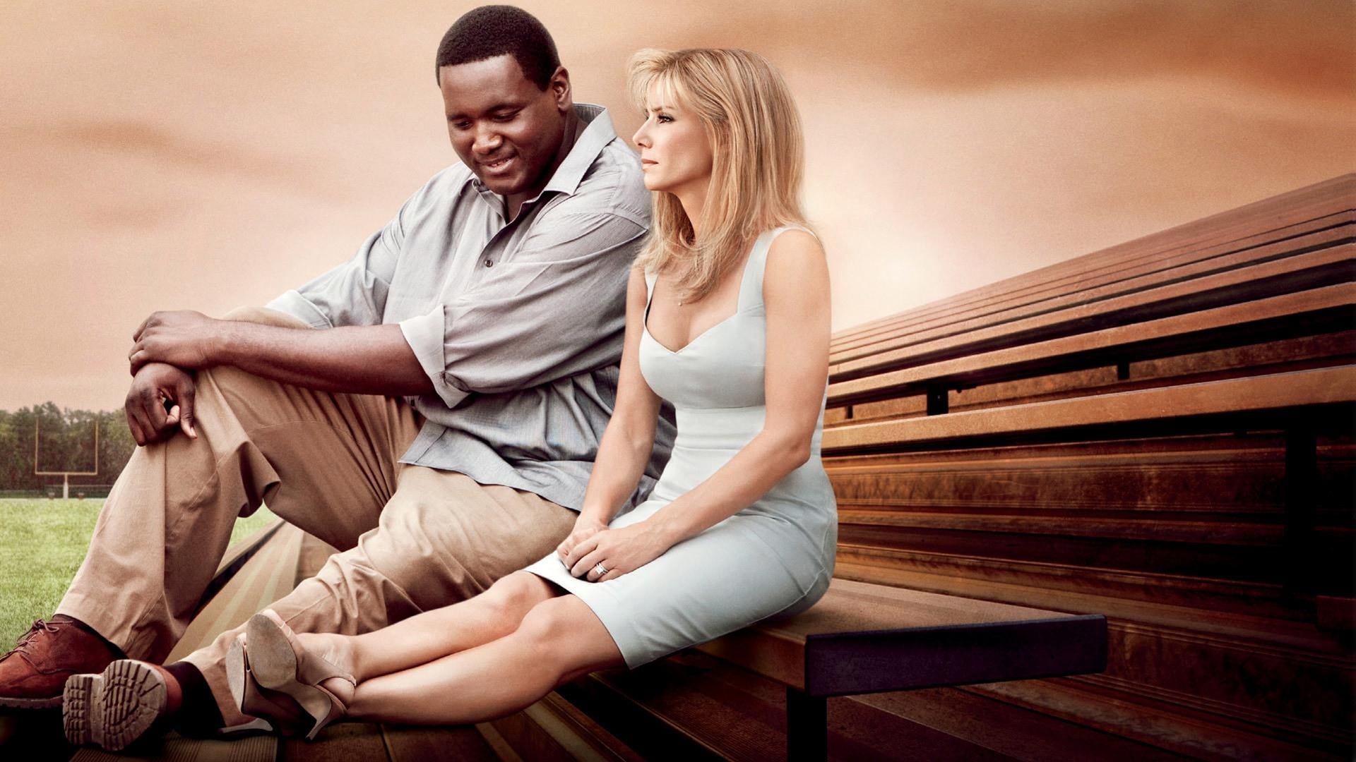 Banner Phim Mái Ấm Gia Đình (The Blind Side)