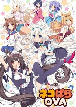 Banner Phim Nekopara: Koneko no Hi no Yakusoku (Nekopara: Koneko no Hi no Yakusoku)