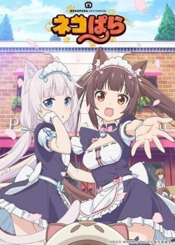 Banner Phim Nekopara (Nekopara)