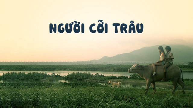 Banner Phim Người Cỡi Trâu (Buffalo Rider)