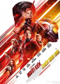 Banner Phim Người Kiến Và Chiến Binh Ong (Ant-Man and the Wasp)