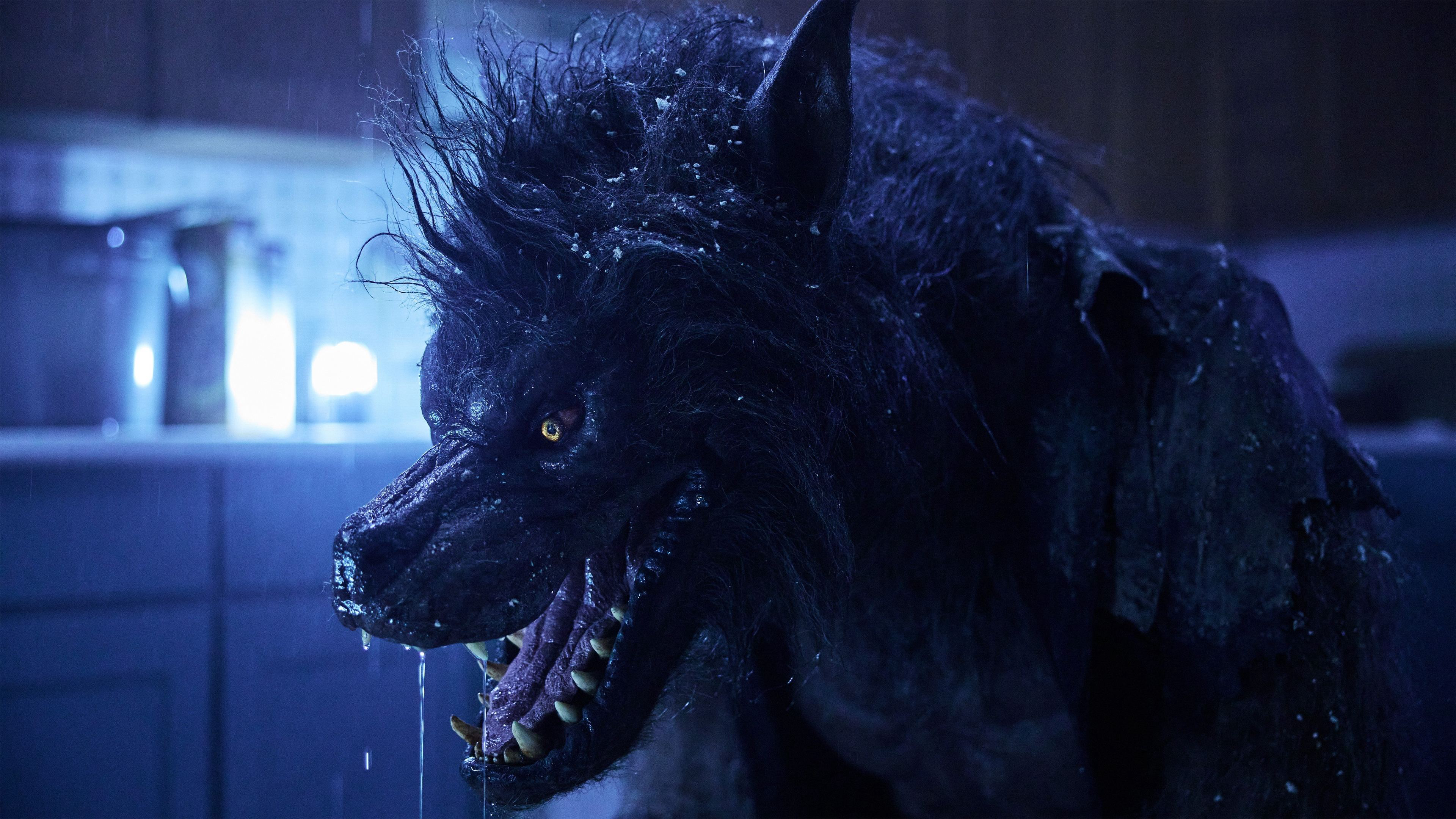 Banner Phim Người Sói (Werewolves)