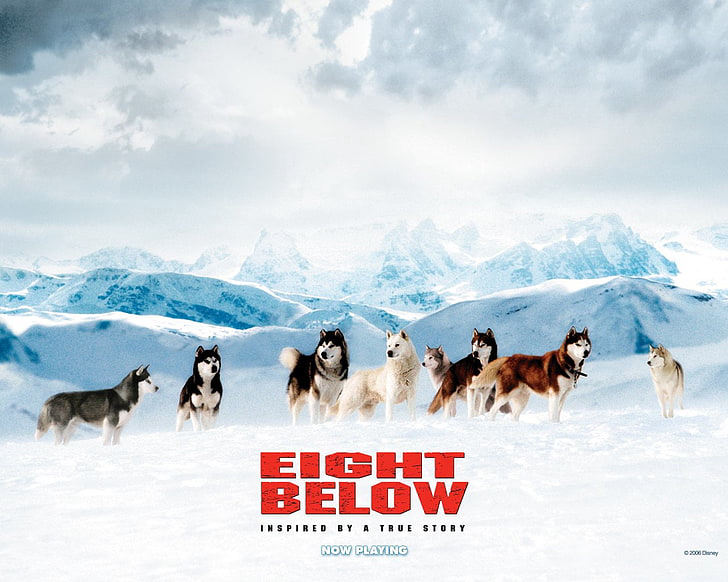 Banner Phim Những Chú Chó Dũng Cảm (Eight Below)