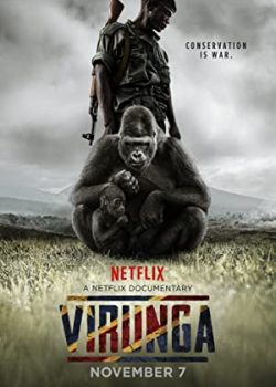 Banner Phim Những Chú Khỉ Cuối Cùng (Virunga)