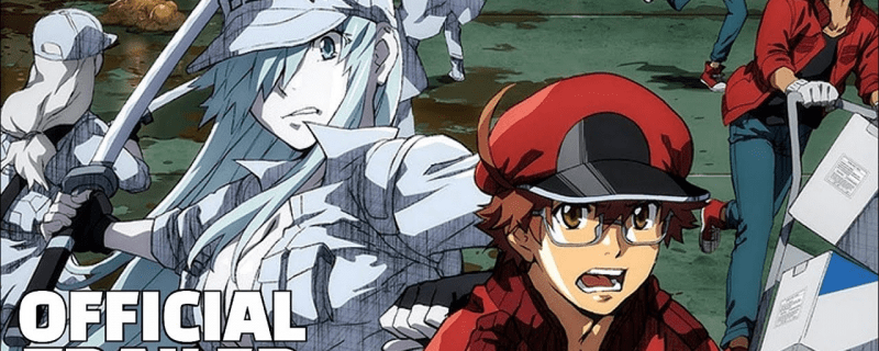 Banner Phim Hataraku Saibou Black (TV) (Cells at Work! CODE BLACK!)