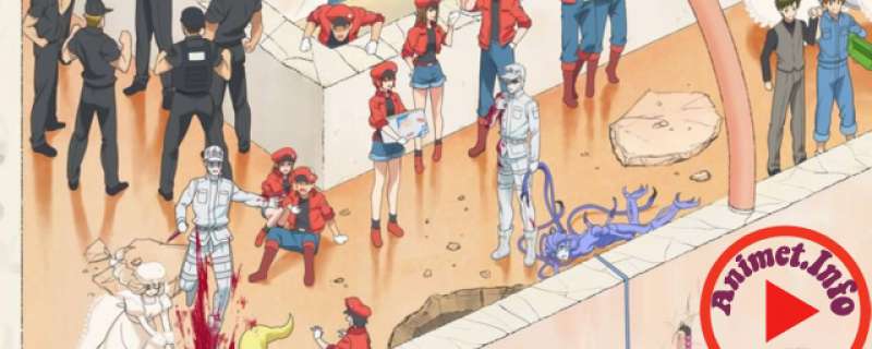 Banner Phim Hataraku Saibou (TV) (Cells At Work)