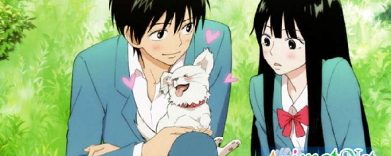 Banner Phim Kimi Ni Todoke (From Me to You)