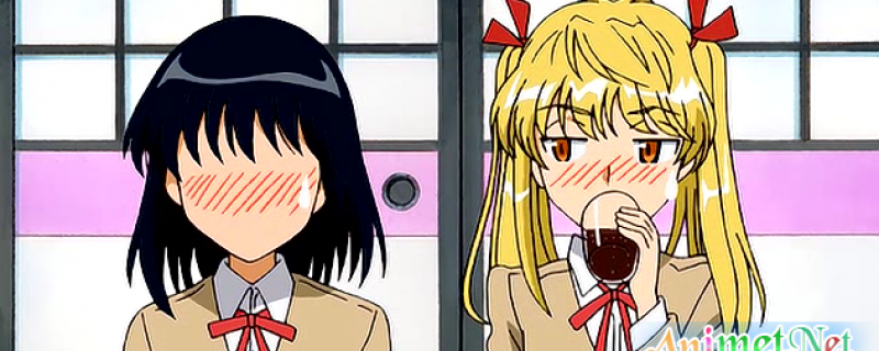 Banner Phim School Rumble San Gakki (School Rumble Third Term)