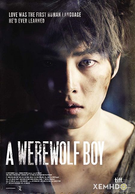 Banner Phim Cậu Bé Người Sói (A Werewolf Boy)