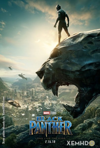 Banner Phim Chiến Binh Báo Đen (Black Panther)