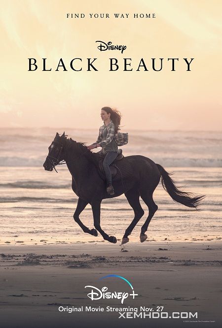 Banner Phim Chú Ngựa Đen Beauty (Black Beauty)