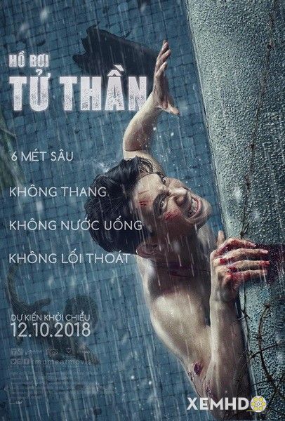 Banner Phim Hồ Bơi Tử Thần (The Pool)