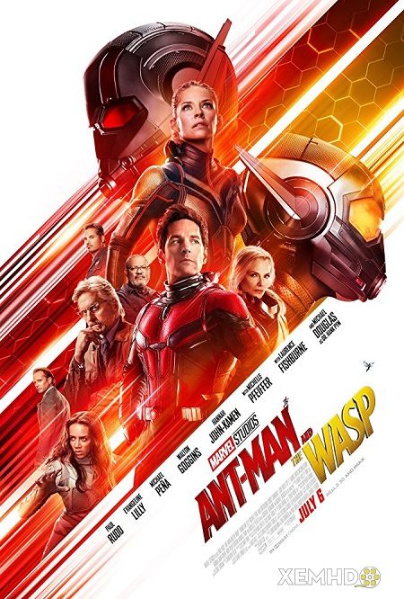 Banner Phim Người Kiến Và Chiến Binh Ong (Ant-man And The Wasp)