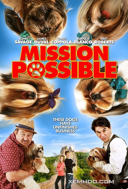 Banner Phim Nhiệm Vụ Khả Thi (Mission Possible)