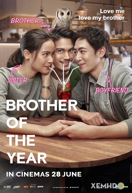 Banner Phim Ông Anh Trời Đánh (Brother Of The Year)