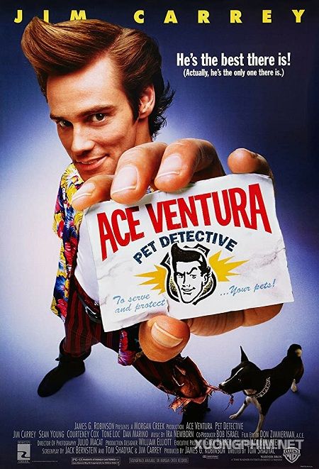 Banner Phim Thám Tử Thú Cưng (Ace Ventura: Pet Detective)