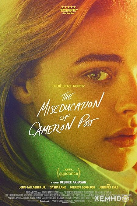 Banner Phim Tình Yêu Ngang Trái (The Miseducation Of Cameron Post)