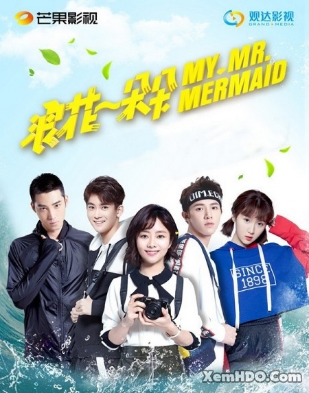 Banner Phim Từng Cơn Sóng Vỗ / Từng Đóa Bọt Sóng (My Mr. Mermaid)