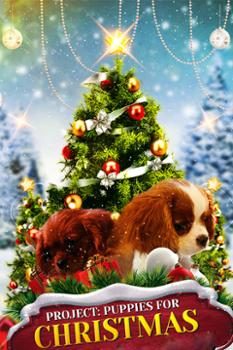 Banner Phim Quà Giáng Sinh Bất Ngờ (Puppies for Christmas)