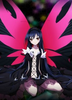 Banner Phim Thế Giới Gia Tốc (Accel World OVA)