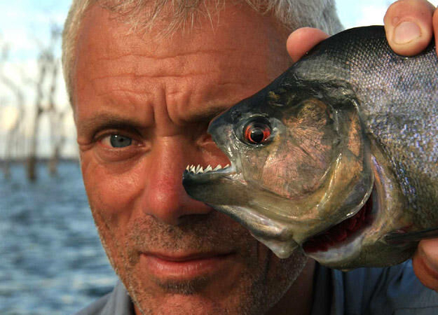 Banner Phim Thủy Quái (Phần 1) (River Monsters (Season 1))