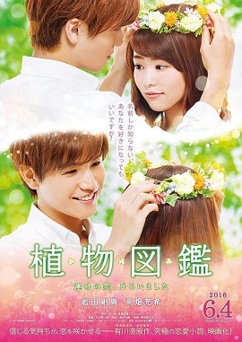 Banner Phim Tình Yêu Định Mệnh Chợt Đến (Evergreen Love)