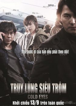 Banner Phim Truy Lùng Siêu Trộm (Cold Eyes / Stakeout)