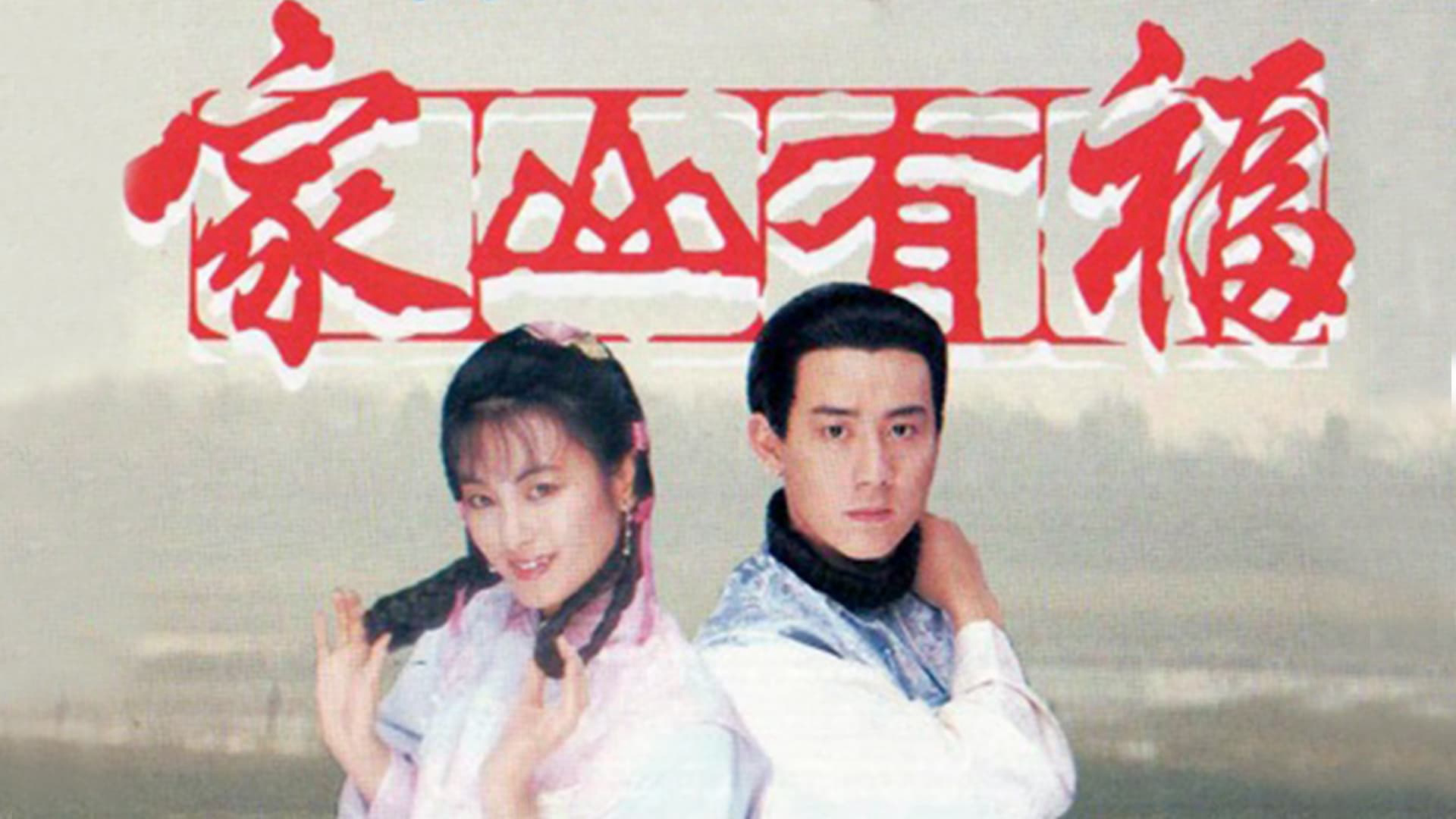 Banner Phim Văn Võ Song Hùng (Family Fortune)