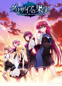 Banner Phim Vườn Trái Cây Bí Ẩn Phần 1 (The Fruit of Grisaia Season 1)