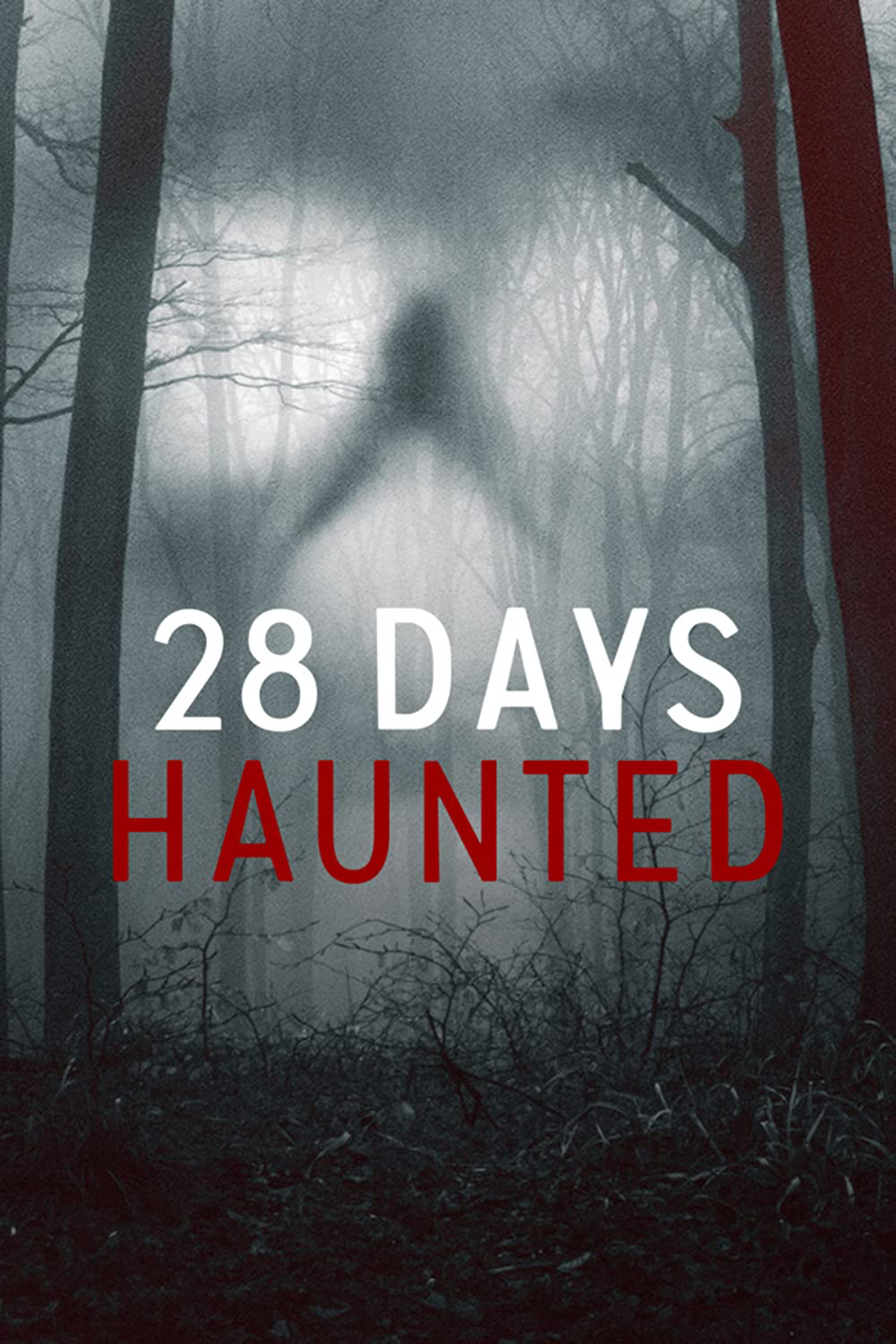 Xem Phim 28 ngày ma ám (28 Days Haunted)