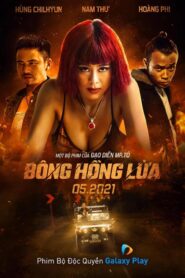 Poster Phim Bông Hồng Lửa (Bông Hồng Lửa)