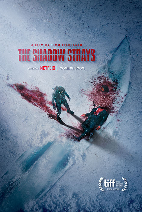 Poster Phim Bóng Tối Lạc Loài Sát Thủ Mật Danh 13 (The Shadow Strays)