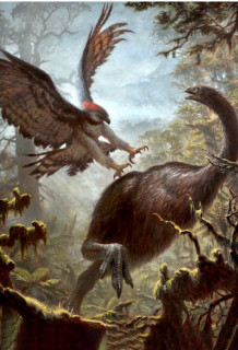 Xem Phim Chim Khổng Lồ Tấn Công (Giant Birds Attack)