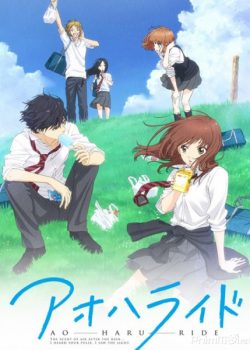 Xem Phim Con Đường Mùa Xuân (Ao Haru Ride  Blue Spring Ride)