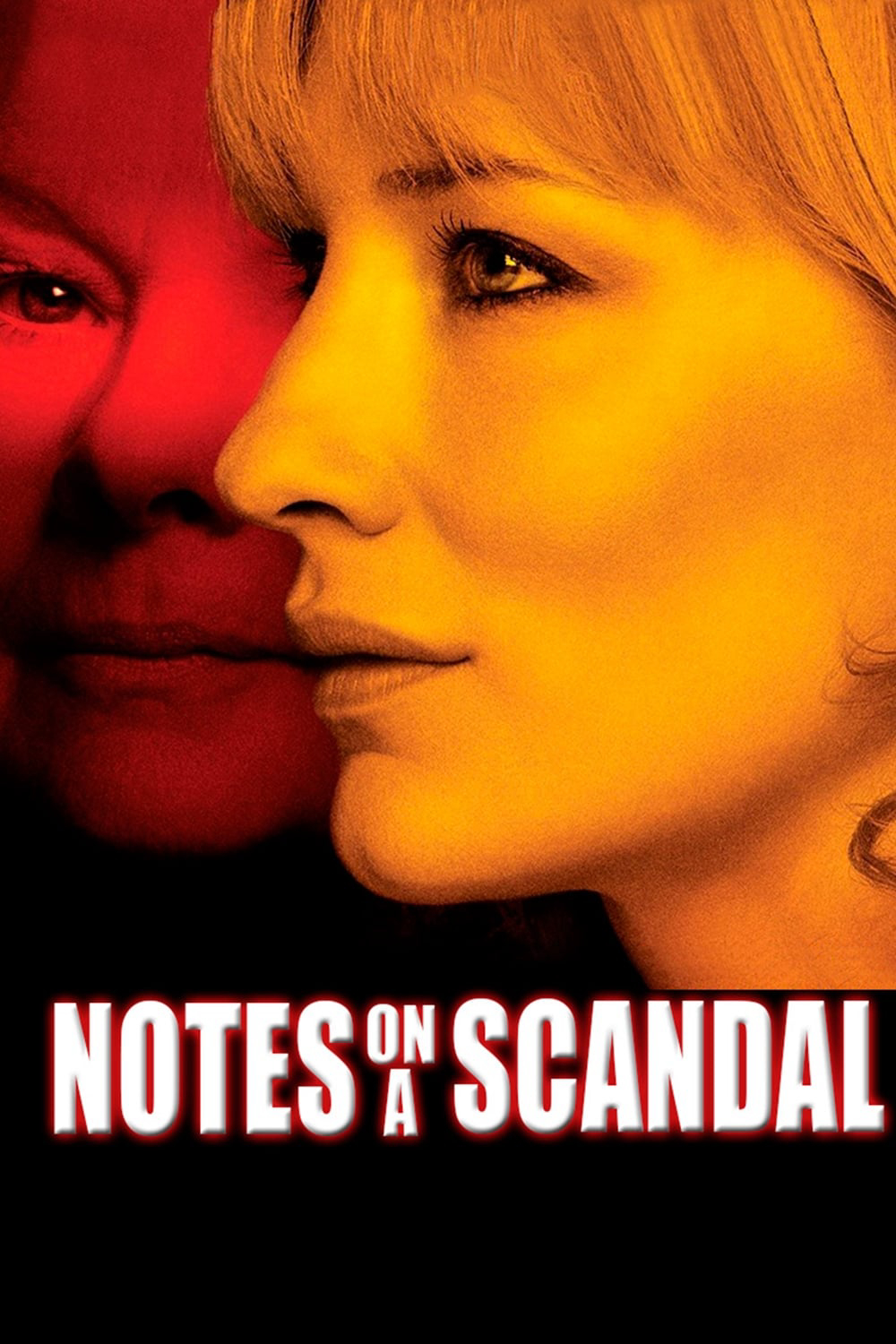 Poster Phim Cuốn Nhật Ký Phản Chủ (Notes on a Scandal)