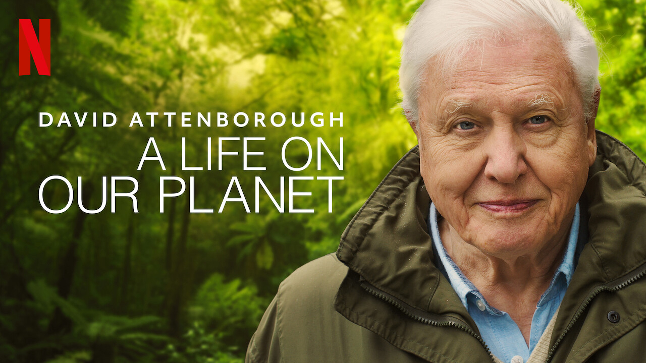 Xem Phim David Attenborough: Một cuộc đời trên Trái Đất (David Attenborough: A Life on Our Planet)